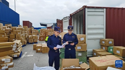 重慶國際物流樞紐園區運行繁忙 日用品貿易活力彰顯西部樞紐地位